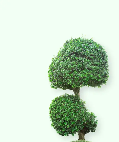 Apartament cu gradina